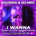 Agunda & DJ MEG - I Wanna (Silver Ace & Larichev Radio Edit)