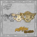 Zombie Cats - Dreams