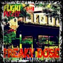 Flight Pizzly - Codes