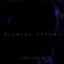 Carmen Justice - Flaming Arrows (Original Mix)