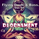 DJ Ornament - Flying Drum & Bass. Vol.11 ()