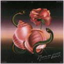 Dom Dolla & Mansionair - Strangers