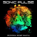 Sonic Pulse - Fx Drama (Original Mix)