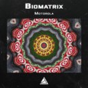 Biomatrix - Despondency (Original mix)