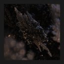 Solique - Imminence