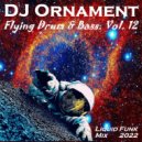 DJ Ornament - Flying Drum & Bass. Vol. 12 ()