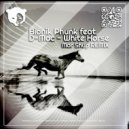Bionik Phunk feat. D-Mac - White Horse