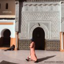 Mohammed Abargil - Experience