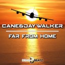 Cane & Daywalker - Far From Home (Original Mix)