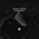 SWEET SPOT - For Sure (Extended Mix)