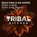 Sean Finn, No Hopes - What A Bam