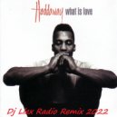 Haddaway - What is love (Dj Llex Radio Remix 2022)