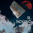 FizzHarmonic - IL SOGNO DEL minimoog