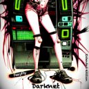 FoxyFly - Darknet (Instrumental Extended edition)
