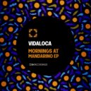 Vidaloca - Its My Soul (Original Mix)