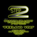 Shadow Of Light - Feeling You