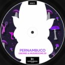 Pernambuco (BR) - Mushrooms