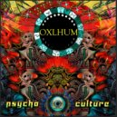Zumerium - Revolution Minds (Original Mix)