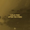Carlos Pires - Hold On