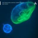 Spectrum Vision & Unusual Cosmic Process - Deep Divers
