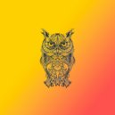 STOPSITE - Multi ()