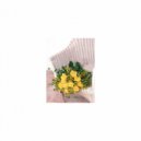 Mindfulness Healing Sleep BGM Project - Delacroix and Detox (Sleep BGM)