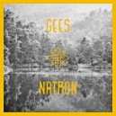 Gees - Natron