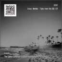 Cross, Nimble - Tales from the OB-X (David Kinnard Remix)
