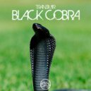 Transmir - Black Cobra (Original Mix)
