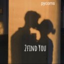 pycorns - 2find You ()