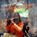 Synchromatrix - Voice Of Daduk (Edit 2022)