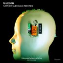 Fluxeon & Andy Bsk - Turkish Oud Solo 2