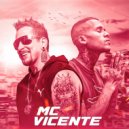 Dj Rhuivo & Mc Vicente - Novinha Chora ()