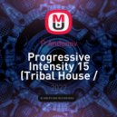 P.Andonov - Progressive Intensity 15 (Tribal House / Afro House / Progressive House)