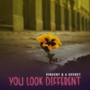 Vincent & A Secret - You Look Different