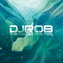 DJ Rob - Erratic