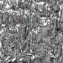 DiZapi - Hydraponts