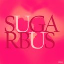 SugarBus & OALC - I don't Care (feat. OALC)