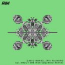 Dario Nunez, Javi Palmero - All About The Music