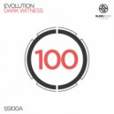 Evolution - Dark Witness (Original Mix)