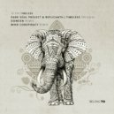 Dark Soul Project & Replicanth - Timeless (Mind Conspiracy Remix)