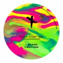 BLACK RABBIT (AR) - Back Home