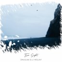 SpaceLine & U-Mount - True Sight
