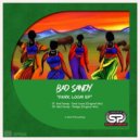 Bad Sandy - Fledge (Original Mix)
