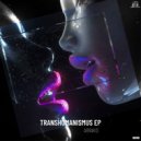 Arrakis (GER) - Midnight (Original Mix)