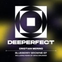 Cristian Merino - I Could Only Eat Spanish Omelette