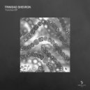 Trinidad Shevron - Passive Aggressive (Original Mix)
