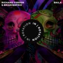 Richard Vission & Brian Matrix - Baila (Original Mix)