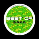 D.P.V. - Back To You