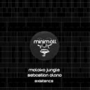 Moloko Jungle & Sebastian Olano - Existence